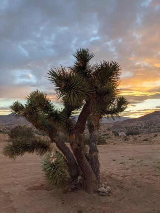 Chasing The Moon: Expansive Tub Views Near Pappy'S Pioneertown Exterior photo